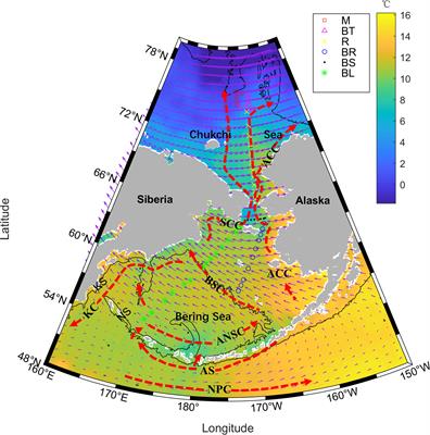 Observational Study on the Variability of Mixed Layer Depth in the Bering Sea and the Chukchi Sea in the Summer of 2019